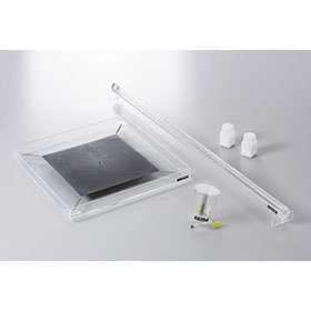 ���̉������������Z�b�g